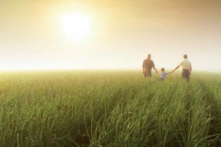 农药施用器照片