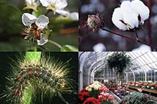 工厂和工业服务